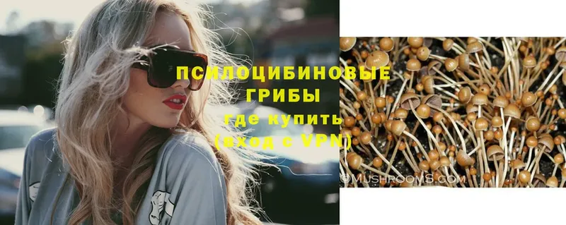 Галлюциногенные грибы Psilocybe  Липки 